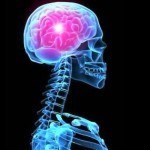 Golpes en la cabeza ¿qué hacer?